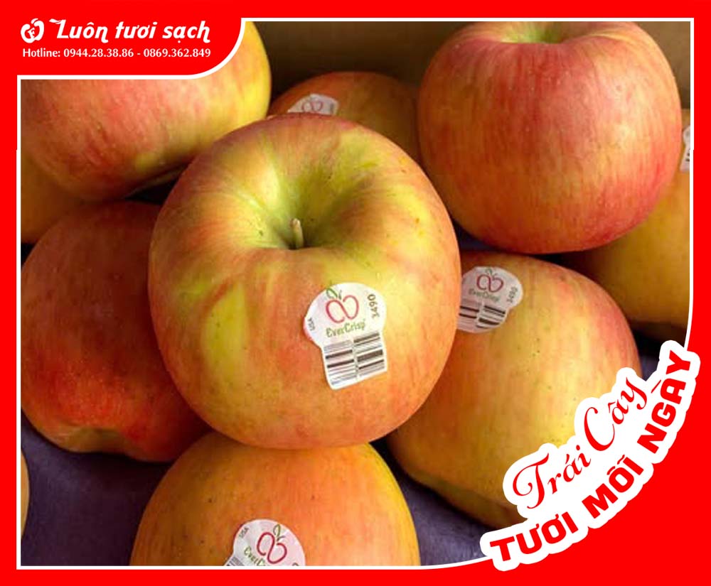 Táo Ever Crisp Mỹ sz 72